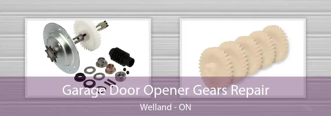 Garage Door Opener Gears Repair Welland - ON